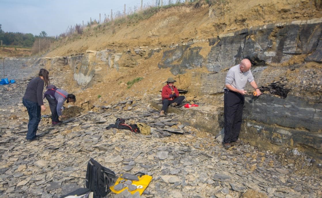 alsahafasd|Guided Fossil and Mineral Tours: Discovering fossils and minerals with guided tours.